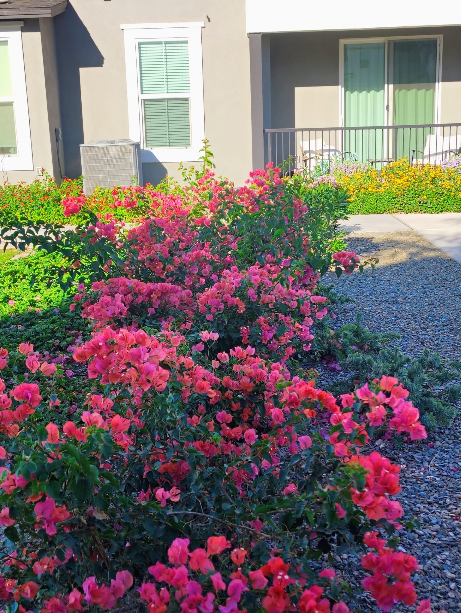Beautiful landscaped property